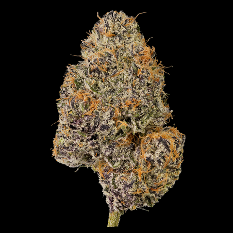 Gelato Cake