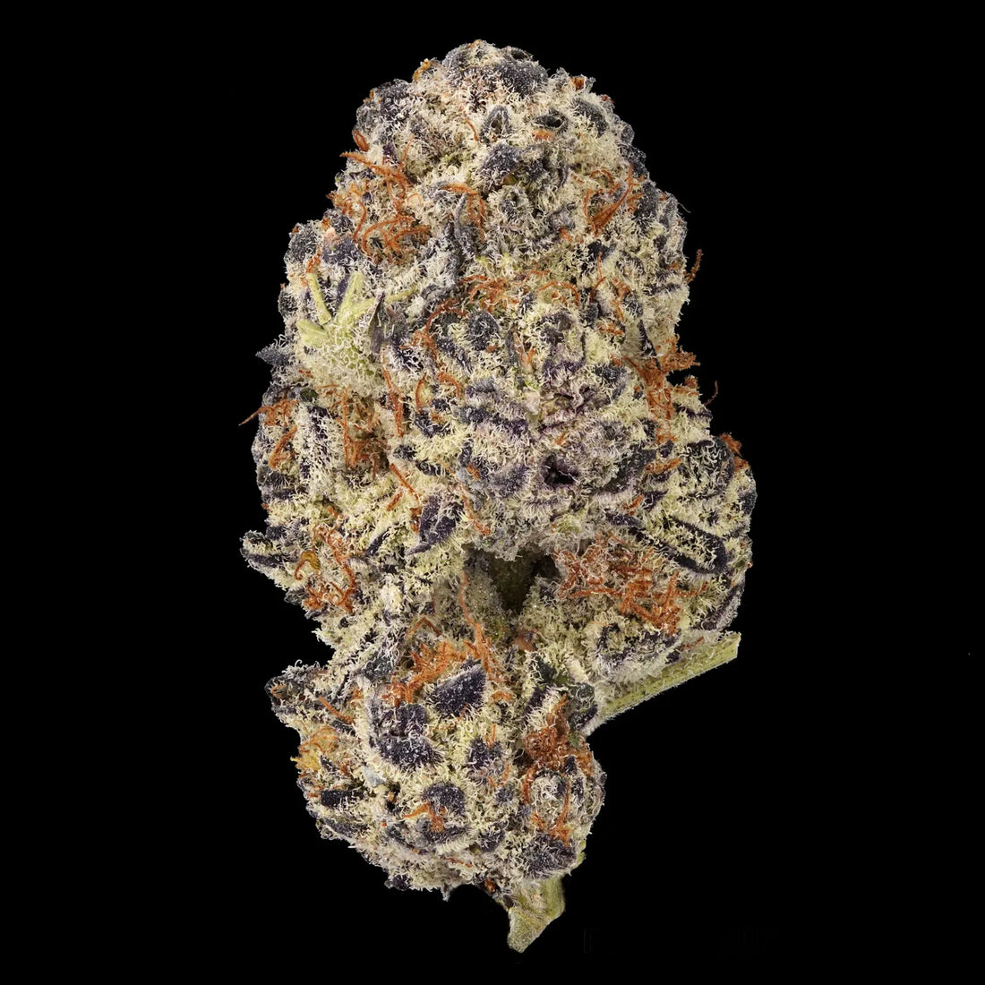 Top Hemp Products in the USA: Where to Buy and What to Try