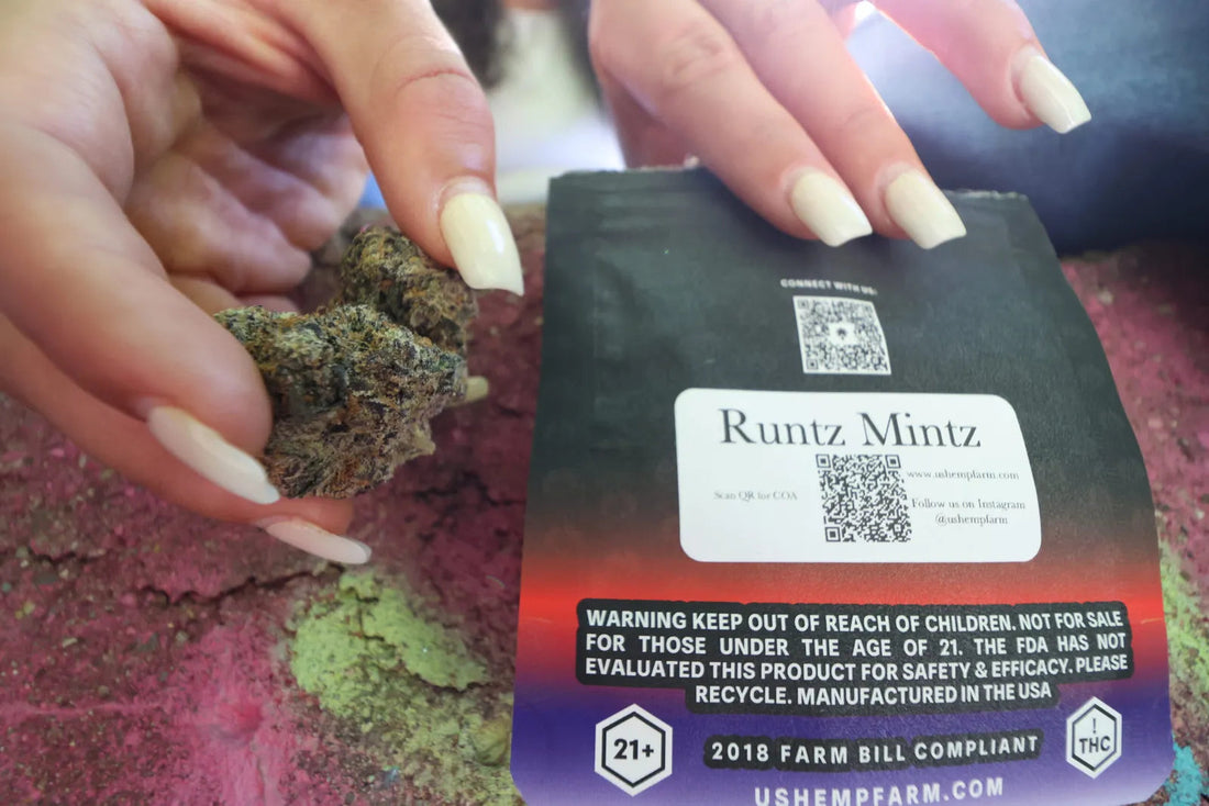 Runtz Mintz – Capture the Candy Land
