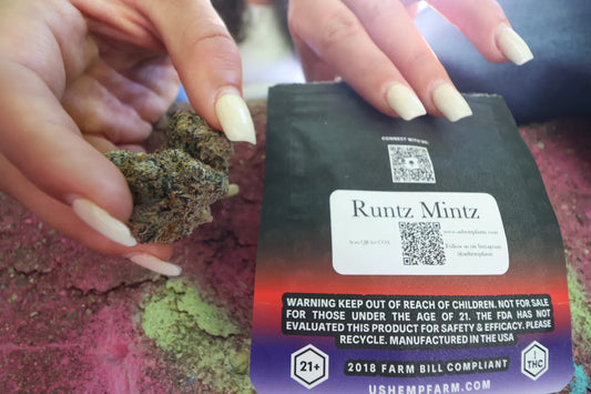 Runtz Mintz – Capture the Candy Land