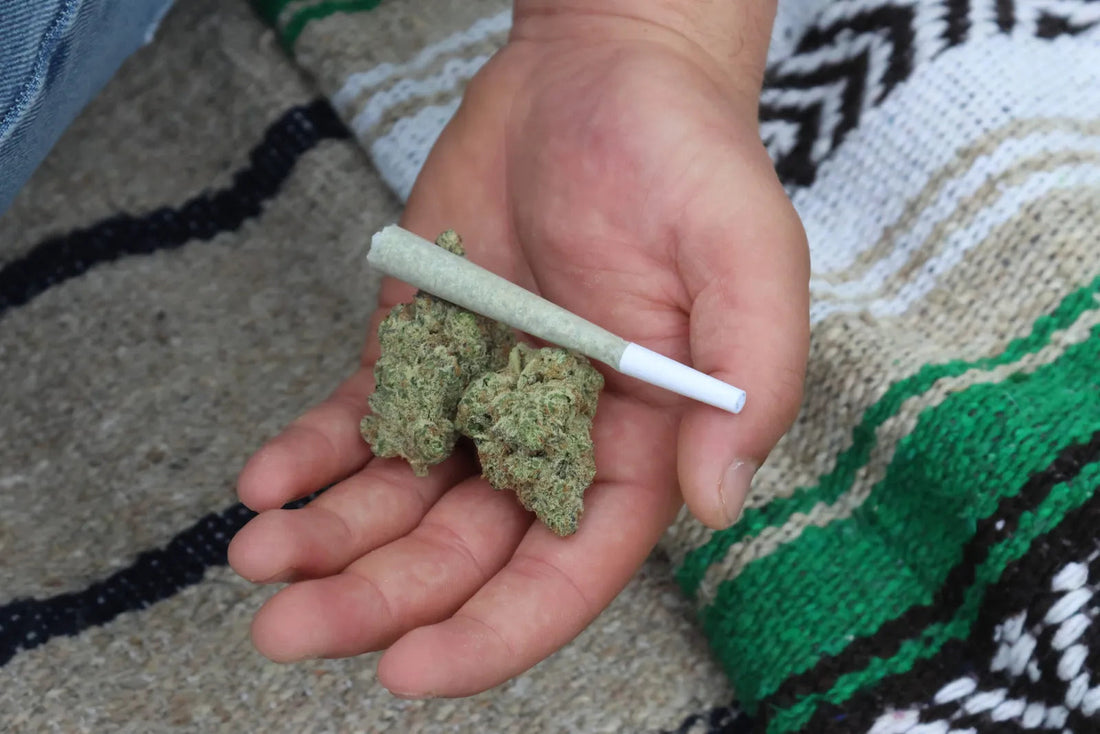 Hemp Pre-Rolls: Convenience, Quality, and Consumption