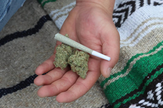 Hemp Pre-Rolls: Convenience, Quality, and Consumption
