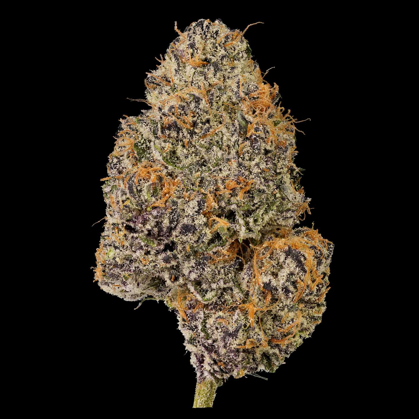 Gelato Cake