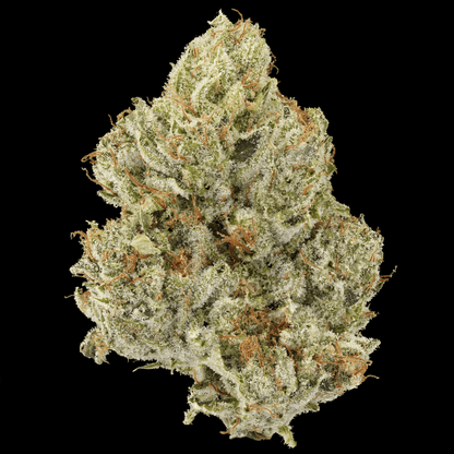 Gorrilla Glue #4