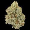 GG #4 Flower