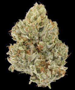 GG #4 Flower