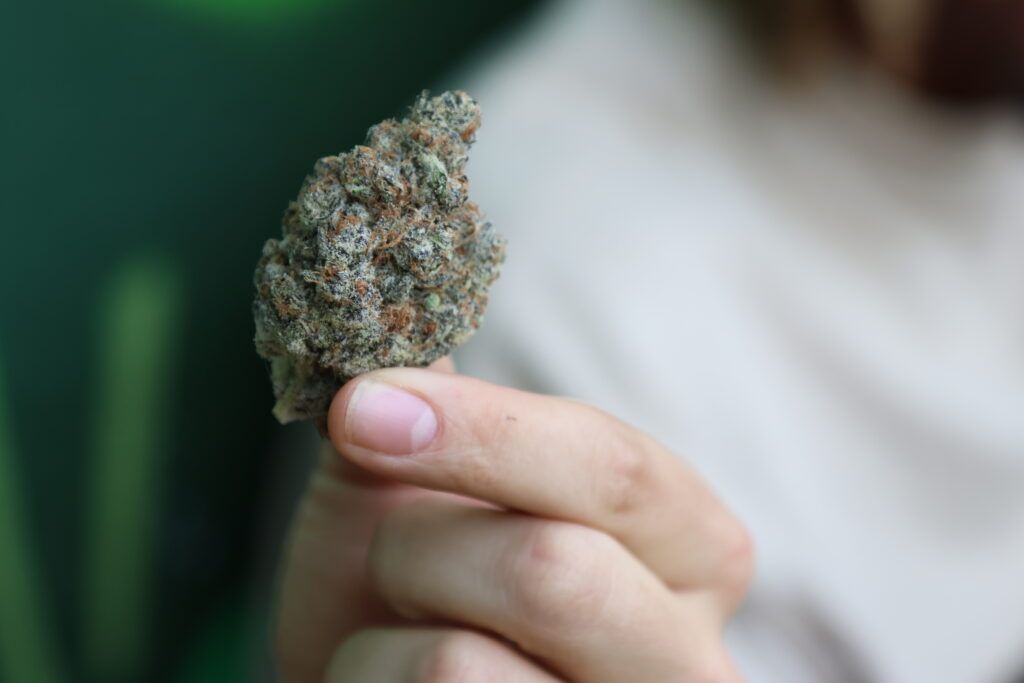 Sweetie Pie Hemp